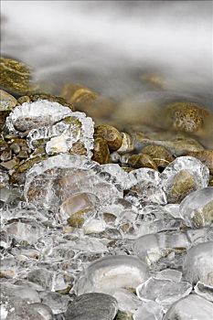 冰,遮盖,石头,靠近,溪流