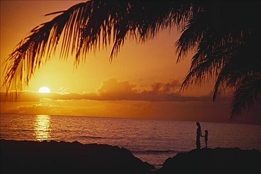 夏威夷,母子,站立,棕榈叶,握手,橙色,日落