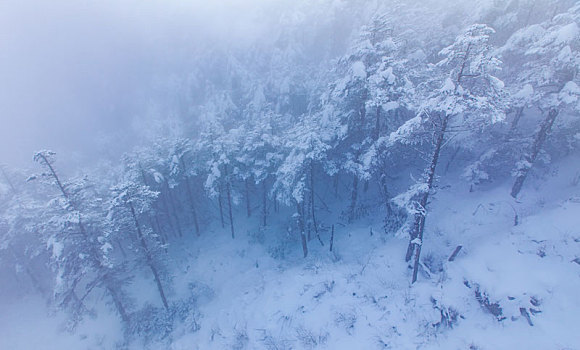 西岭雪山大雪的美丽风景