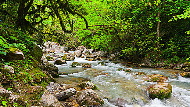 山,河,漂亮,树林