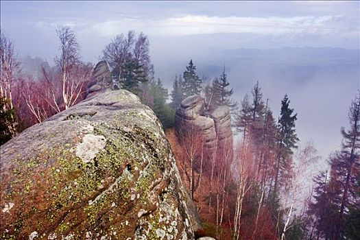 石头,防护,风景,区域,地区,东方,波希米亚,捷克共和国,欧洲