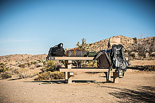 背包,行李,公园长椅,约书亚树国家公园,加利福尼亚,美国