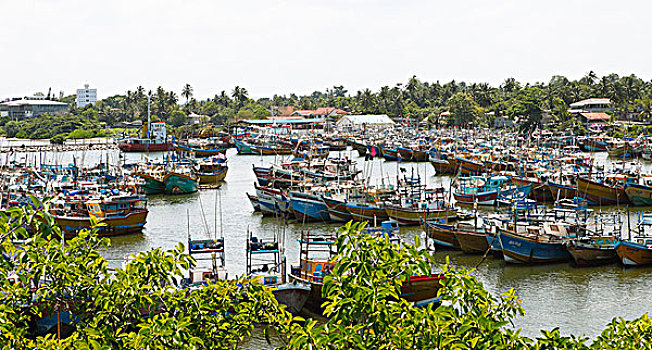 渔港,布鲁维拉,西部,省,斯里兰卡,亚洲