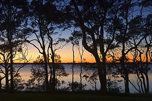 日落,湖,麦夸里岛,新南威尔士,澳大利亚