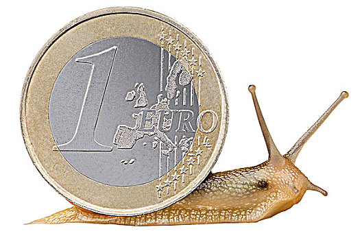 蜗牛,1欧元,硬币,壳