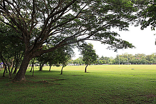 清迈大学