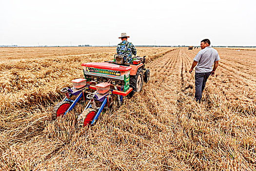 河南滑县,农民用播种机播种秋粮玉米