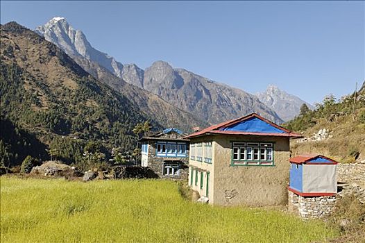 麦田,山谷,萨加玛塔国家公园,昆布,尼泊尔