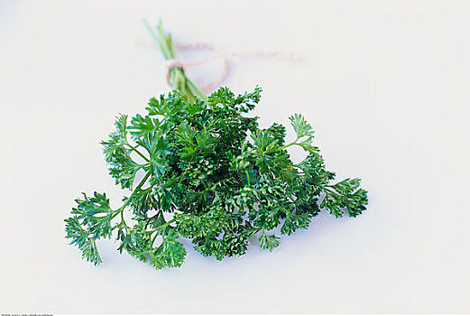 靜物,西芹
