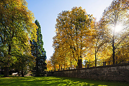 秋天,水疗,公园,米拉贝尔花园,萨尔茨堡,奥地利