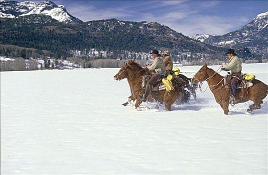 三个,牛仔,骑马,积雪,风景,科罗拉多,美国