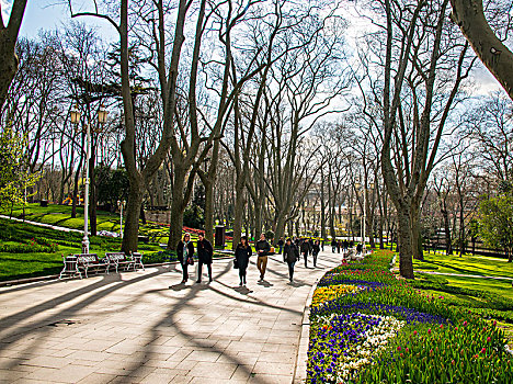 公园,春天,伊斯坦布尔,欧洲,局部,土耳其,亚洲