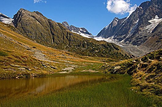 湖,看,山,瓦莱,瑞士,欧洲