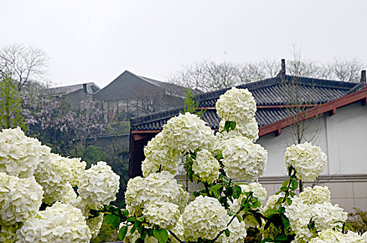 南宋官窑博物馆