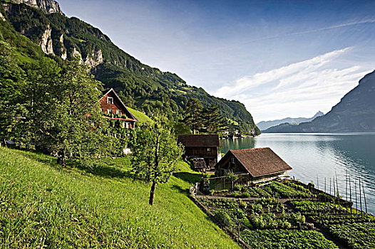 鲍恩,琉森湖,瑞士,欧洲