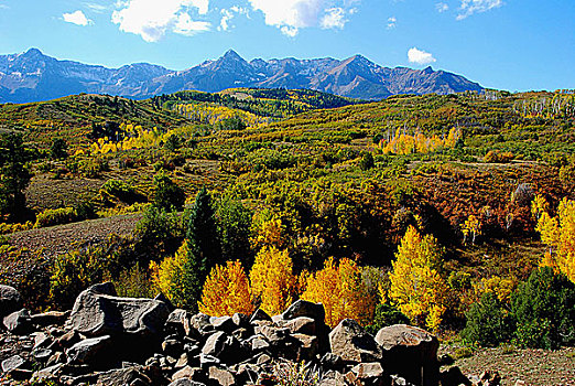 风景,山峦,背景,科罗拉多,落基山脉,美国