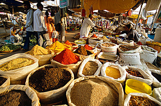 调味品,市场,堤岸,河,纳西克,马哈拉施特拉邦,印度,亚洲