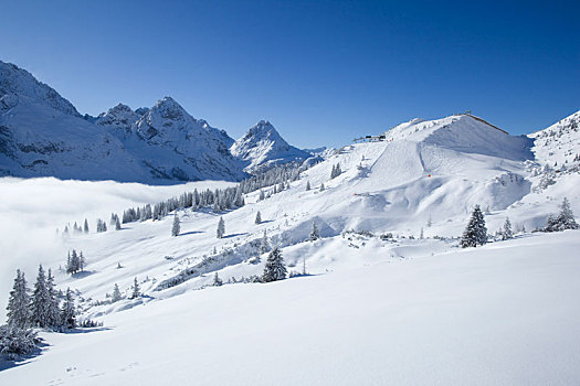 滑雪区,靠近,埃尔瓦尔德,提洛尔,奥地利