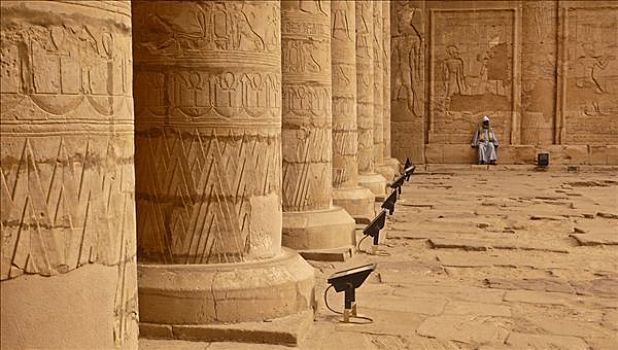 柱子,庙宇,守卫,坐,院落,象形文字,高安宝神庙,埃及,伊迪芙,路克索神庙,尼罗河流域,非洲