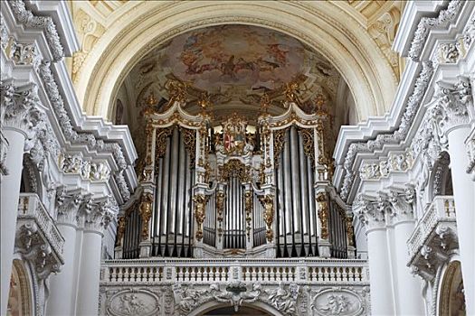 琴乐器,高校,大教堂,上奥地利州,奥地利,欧洲