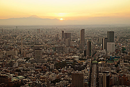 日本,东京,涩谷,天际线,黄昏,景色,塔