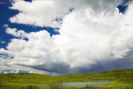 积云,上方,苔原,壶,水塘,德纳里峰国家公园,室内,阿拉斯加,夏天