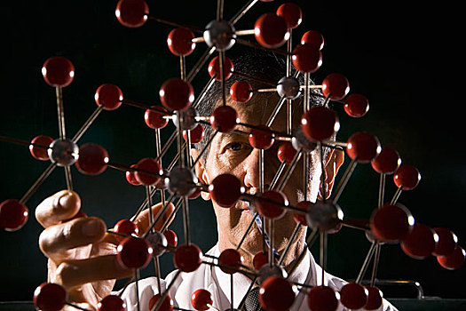 科学家,拿着,分子结构,模型