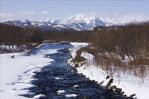 河,冬天,知床半岛,北海道,日本