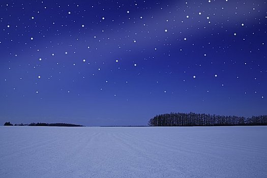 星空,地球,冬天,夜晚