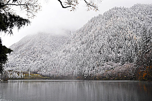 冬季九寨沟的美景