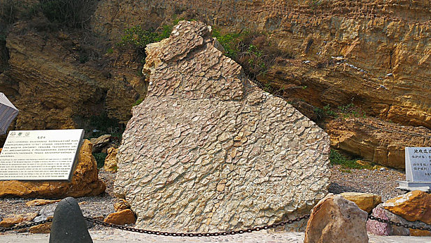 金石滩地质公园,龟背石