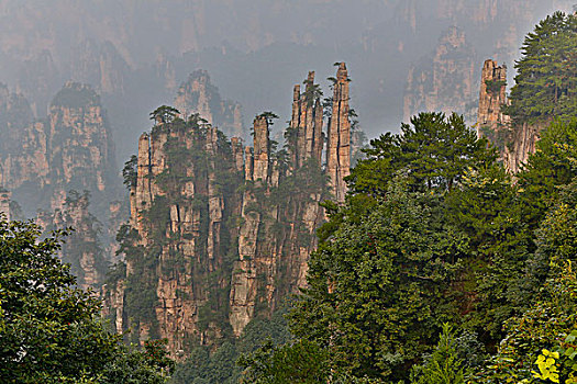 山,五陵塬,地区,风景,许多,顶峰,展示