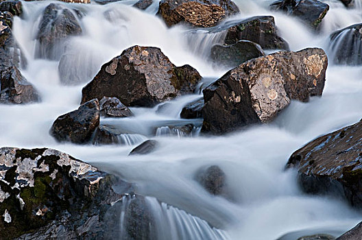特写,漂石,溪流,楚加奇州立公园,阿拉斯加,夏天
