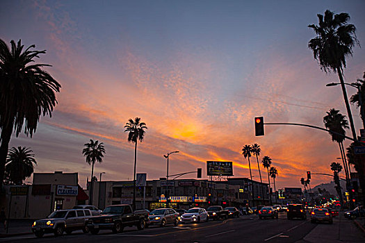 道路,交通,洛杉矶,加利福尼亚,美国