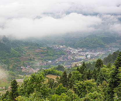 茗岙梯田田园风光