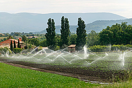 浇水,绿色食品,土地,鲁伯隆,普罗旺斯,法国,欧洲