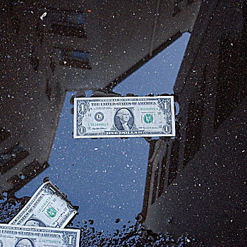 美元,钞票,卧,道路,雨