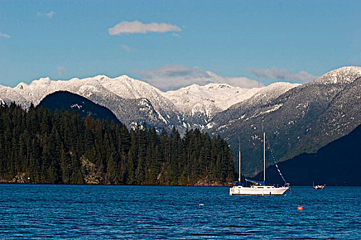 帆船,锚定,湾,加拿大,积雪,海岸