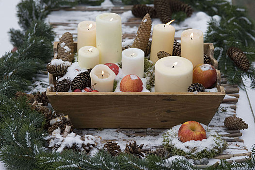 木盒,蜡烛,苹果,苹果树,苔藓,雪地