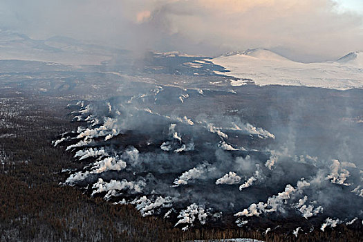 熔岩流,森林火灾,火山,堪察加半岛,俄罗斯