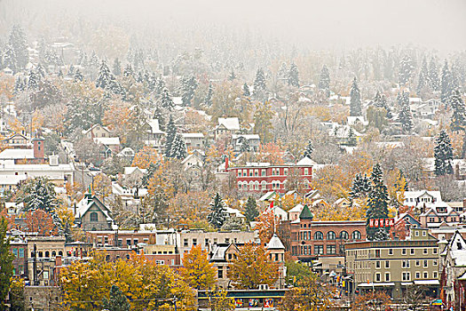 不列颠哥伦比亚省,加拿大,秋天,下雪
