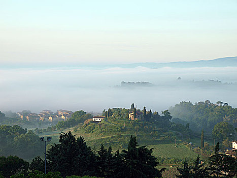 风景,雾状,早晨,托斯卡纳
