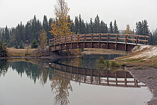 步行桥,瀑布,水塘,班芙,公园,艾伯塔省,加拿大
