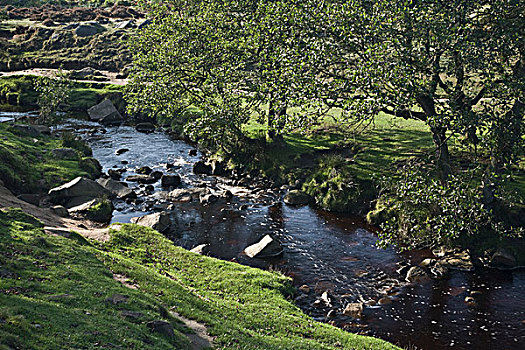 溪流,峰区国家公园,德贝郡,英格兰