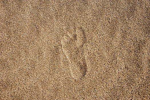 一个,沙滩,脚印
