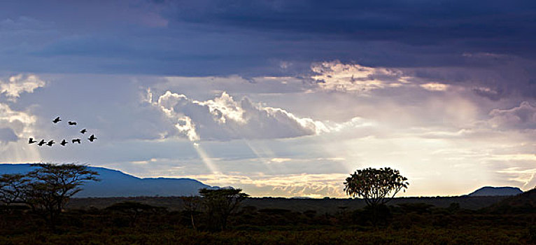 萨布鲁国家公园,黄昏,肯尼亚,东非