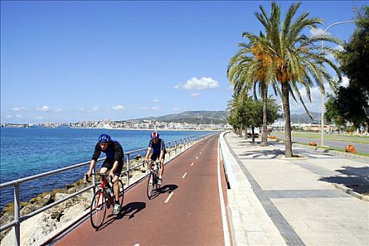 自行车道,棕榈树,海景,帕尔马,马略卡岛,巴利阿里群岛,地中海,西班牙,欧洲