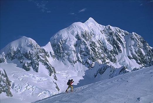 滑雪,登山者,靠近,顶峰,攀升,后面,西区国家公园,新西兰