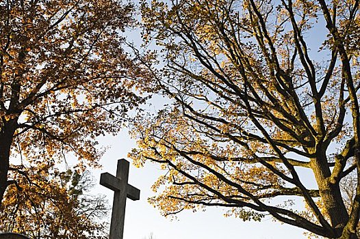 十字架,墓地,萨尔茨堡,奥地利