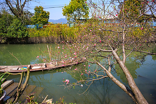 海曙,古林镇,蜃蛟村,水乡,亭子,廊桥,天空,阳光